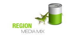 Region Media Mix